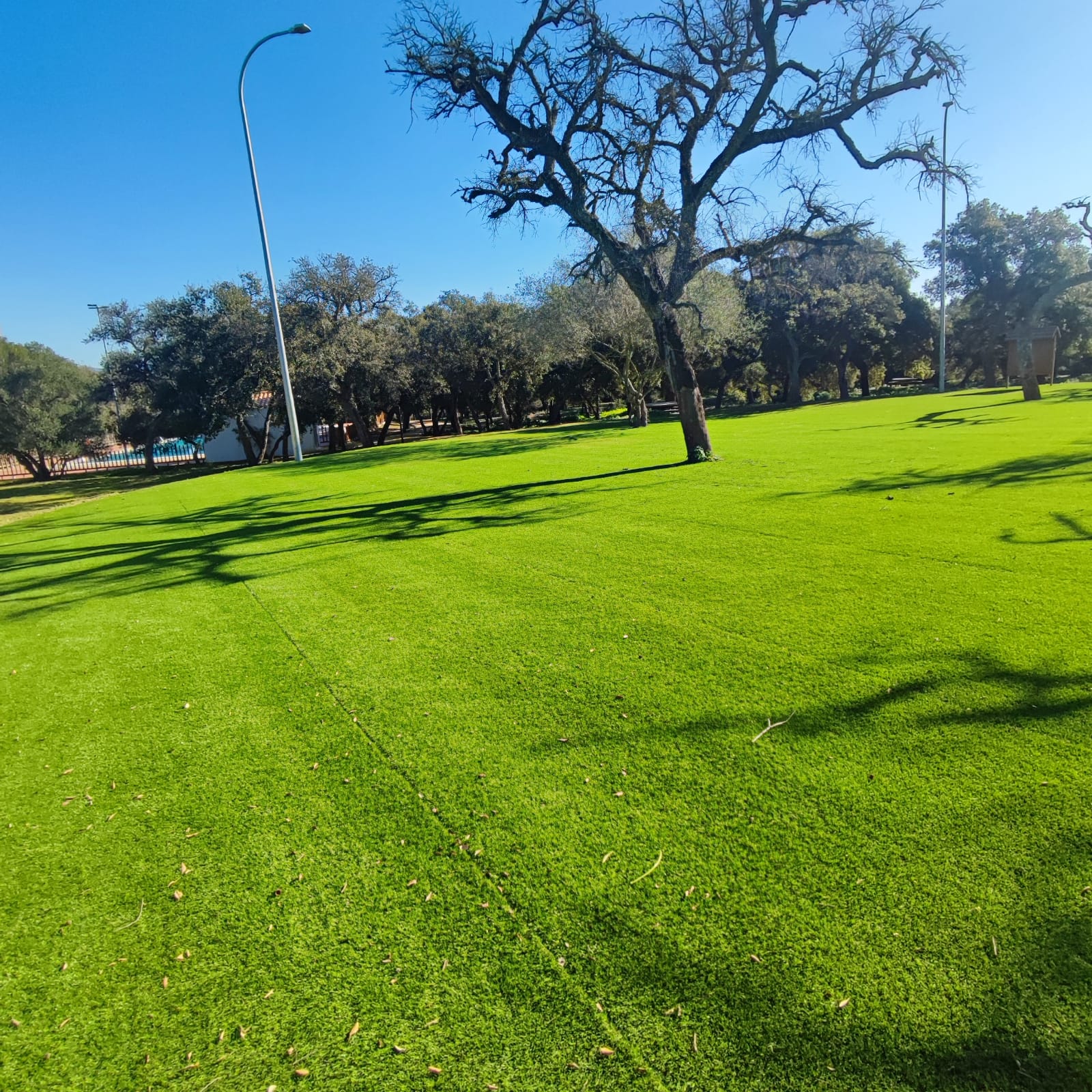 Zona de tiendas de campaña